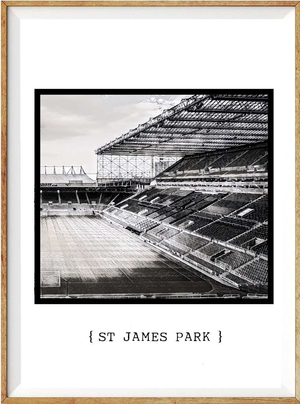 Newcastle St James Park