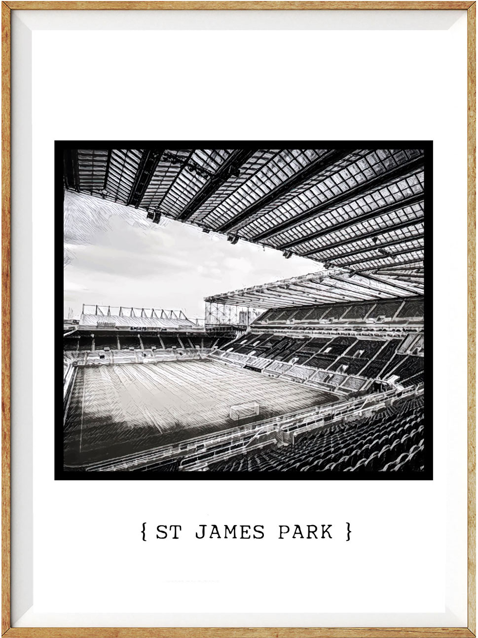 Newcastle St James Park1